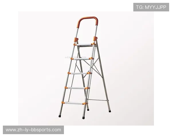 登山梯式健身器材使用方式与适用人群